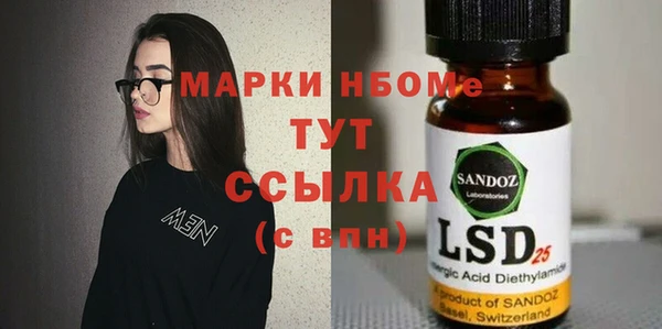 прущие крисы Бородино