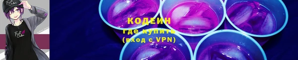 прущие крисы Бородино
